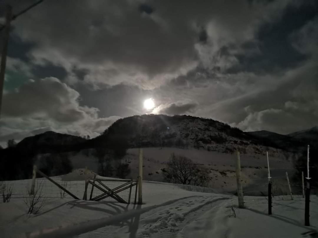 Storjord Farmstay Ranchhouse Kvaloya Dış mekan fotoğraf