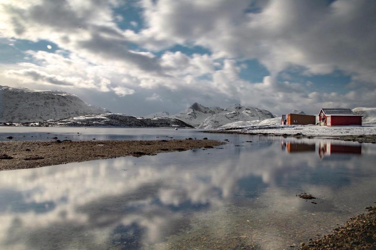 Storjord Farmstay Ranchhouse Kvaloya Dış mekan fotoğraf