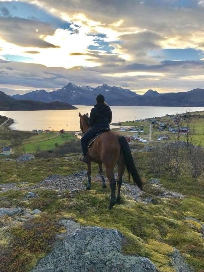 Storjord Farmstay Ranchhouse Kvaloya Dış mekan fotoğraf