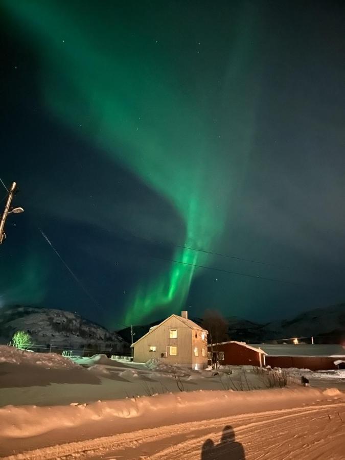 Storjord Farmstay Ranchhouse Kvaloya Dış mekan fotoğraf