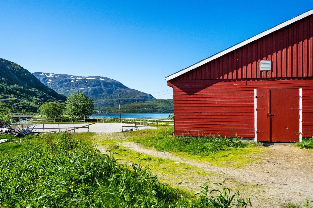 Storjord Farmstay Ranchhouse Kvaloya Dış mekan fotoğraf